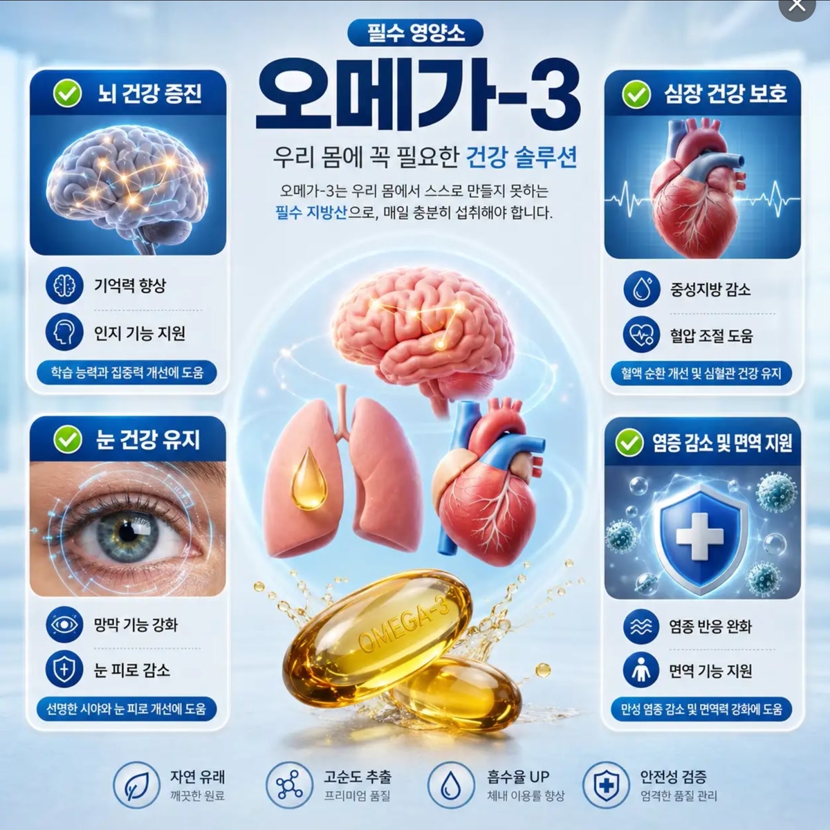 오메가3 인포그래픽: 뇌 건강, 심장 건강, 눈 건강, 염증과 면역 관련 기능 안내